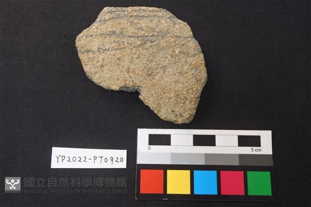 陶片藏品圖，第1張