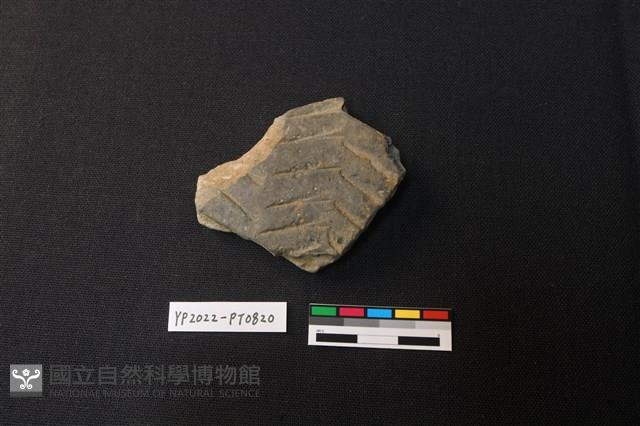 陶片藏品圖，第1張