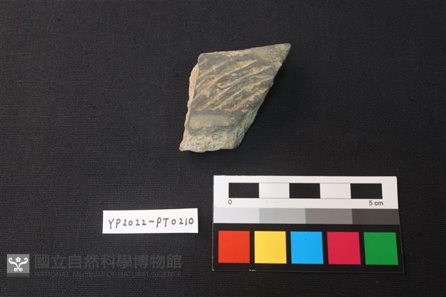 陶片藏品圖，第1張