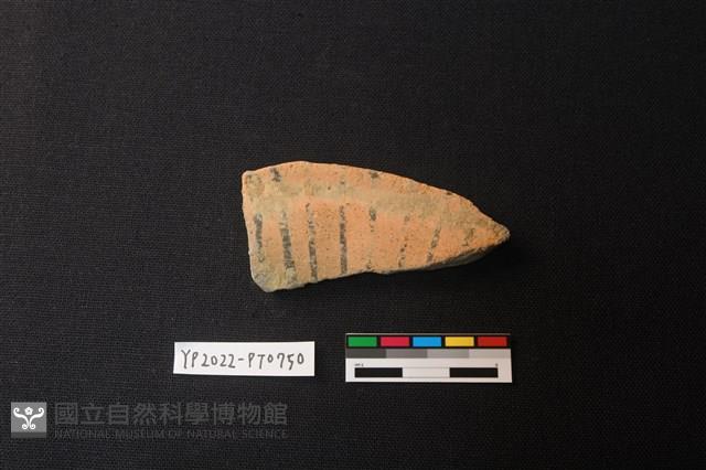 陶片藏品圖，第1張