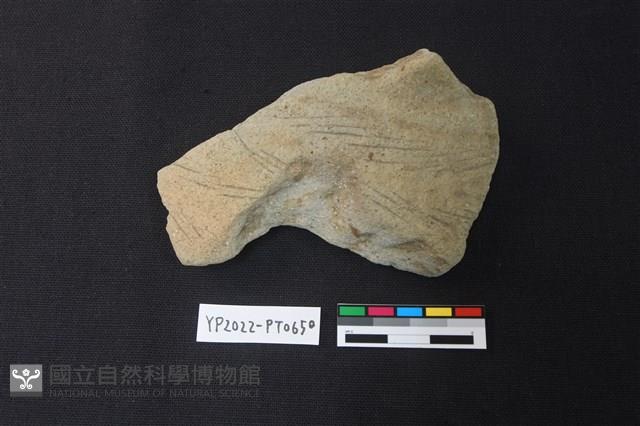陶片藏品圖，第1張