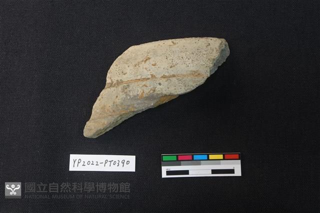 陶片藏品圖，第1張