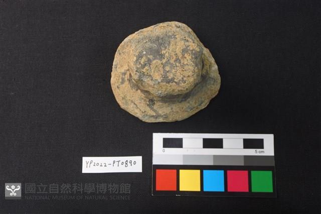 陶蓋鈕藏品圖，第1張