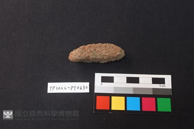 火燒土藏品圖，第1張