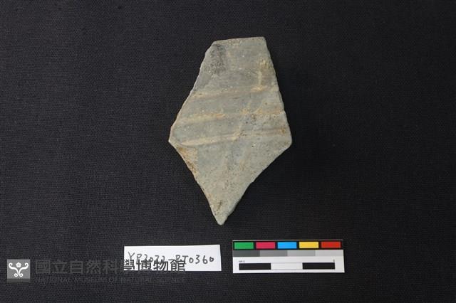 陶片藏品圖，第1張