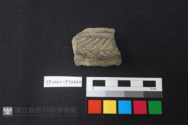 陶片藏品圖，第1張
