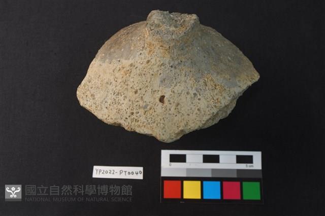 覆碗型陶蓋藏品圖，第1張