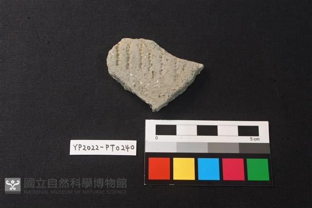 陶片藏品圖，第1張