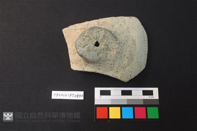 蓋鈕藏品圖，第1張