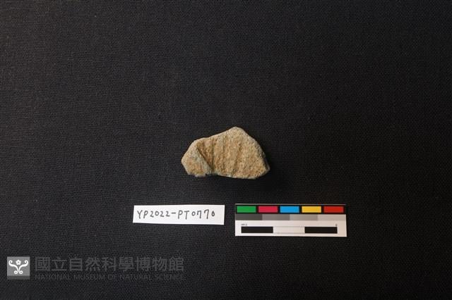 陶片藏品圖，第1張