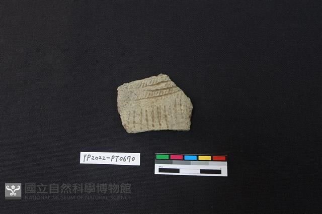 陶片藏品圖，第1張