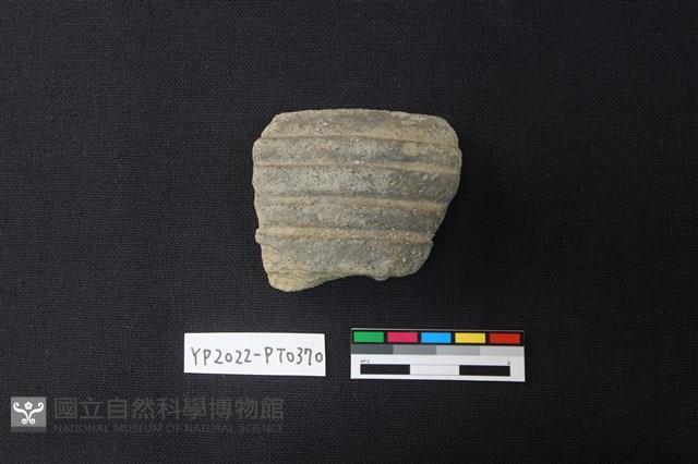 陶片藏品圖，第1張