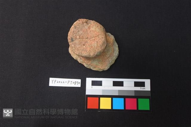 陶鈕藏品圖，第1張