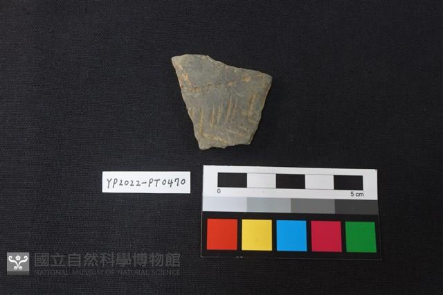 陶片藏品圖，第1張