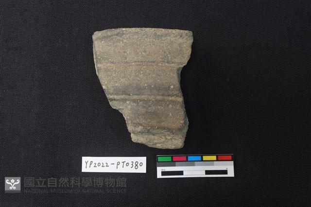 陶片藏品圖，第1張