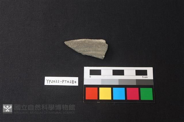 陶片藏品圖，第1張