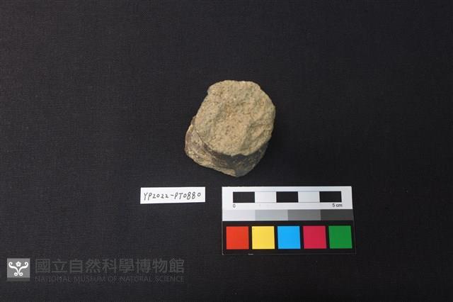 陶鈕藏品圖，第1張