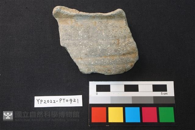 陶片藏品圖，第1張