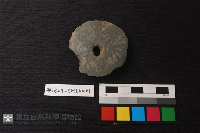 帶穿環形器藏品圖，第1張
