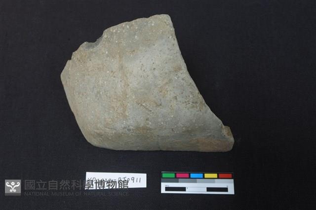 陶片藏品圖，第1張