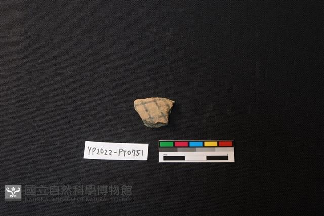 陶片藏品圖，第1張
