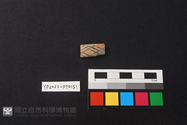 陶環藏品圖，第1張