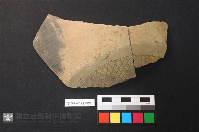 陶片藏品圖，第1張