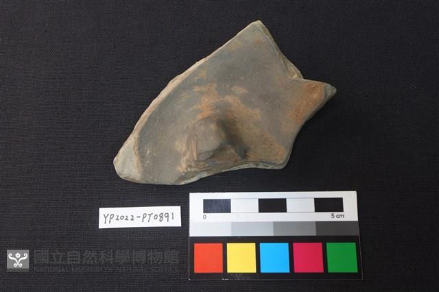 陶蓋鈕藏品圖，第1張