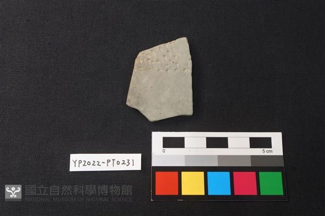陶片藏品圖，第1張