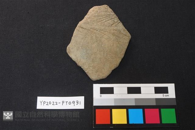 陶片藏品圖，第1張