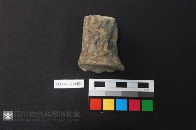 陶鈕藏品圖，第1張