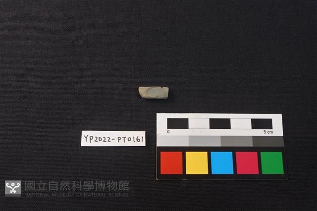 陶環藏品圖，第1張