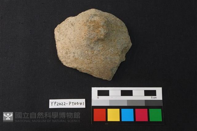 覆碗型陶蓋藏品圖，第1張