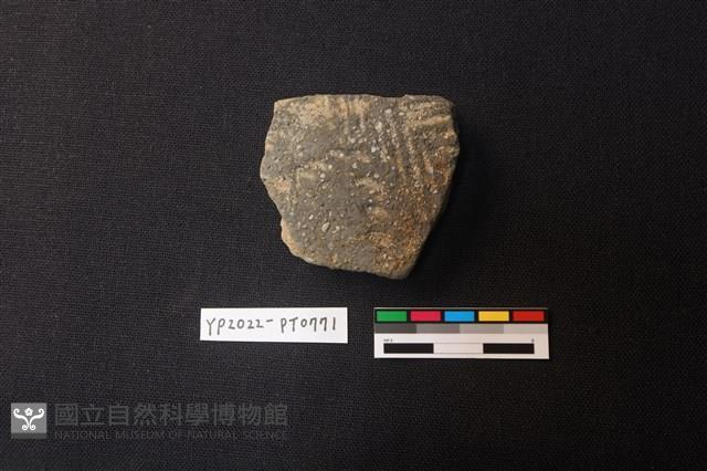 陶片藏品圖，第1張