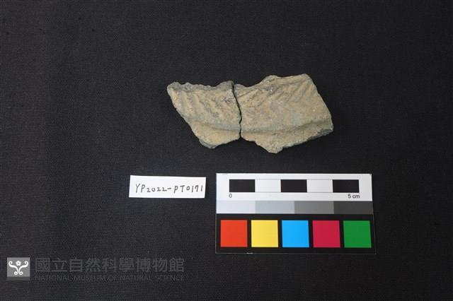 陶片藏品圖，第1張