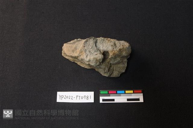 陶片藏品圖，第1張