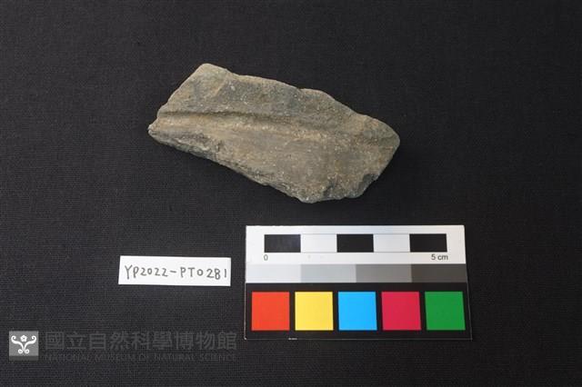 陶片藏品圖，第1張