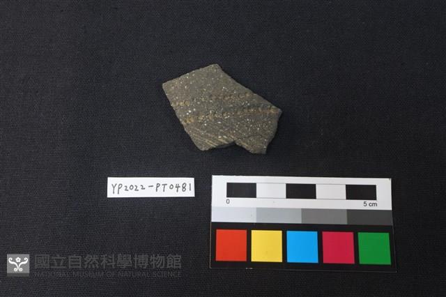 陶片藏品圖，第1張