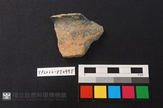陶片藏品圖，第1張