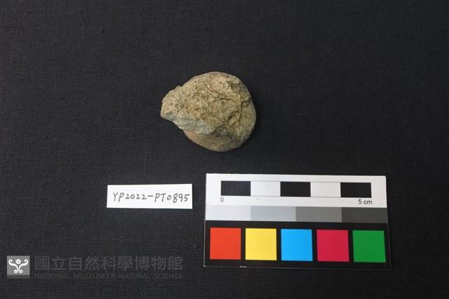 陶鈕藏品圖，第1張