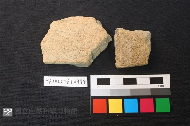 陶片藏品圖，第1張