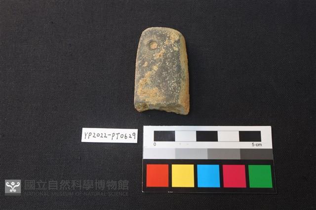 陶網墜藏品圖，第1張