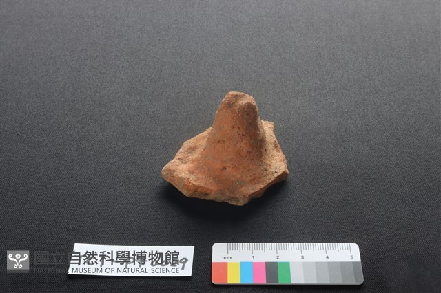 陶蓋鈕藏品圖，第1張
