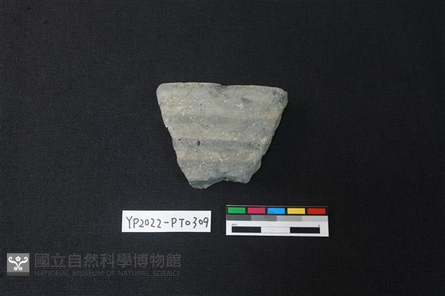 陶片藏品圖，第1張