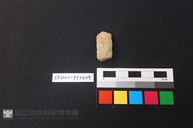 陶片藏品圖，第1張