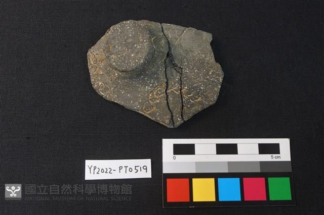 陶片藏品圖，第1張