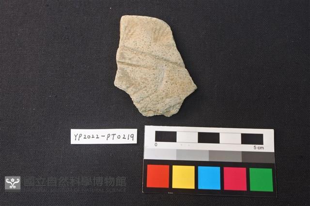 陶片藏品圖，第1張