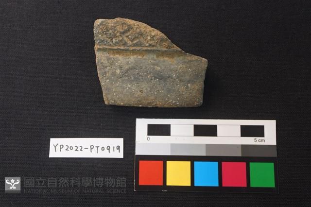 陶片藏品圖，第1張