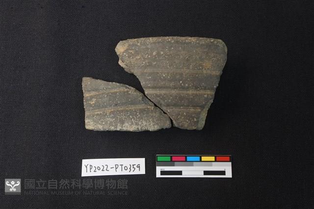 陶片藏品圖，第1張