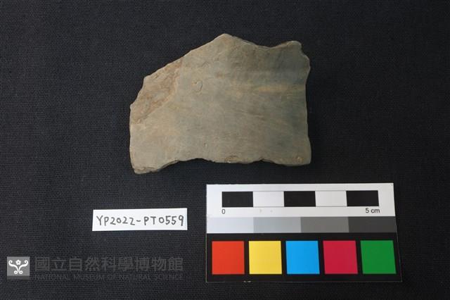 陶片藏品圖，第1張